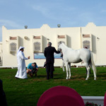 BSTC Visit Qatar World Cup 2011